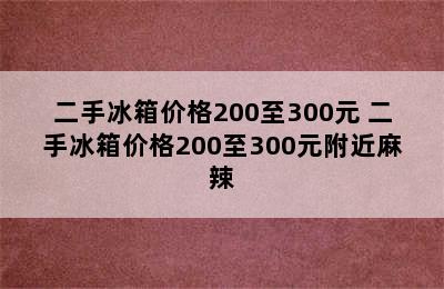 二手冰箱价格200至300元 二手冰箱价格200至300元附近麻辣